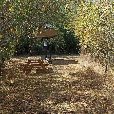 Les Et D'hotes Du Mas De Bouzou